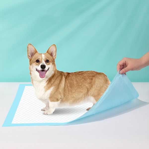 100pcs pets nappy mat dog training pee pads super absorbent pet diaper disposable healthy clean nappy mat for pets
100pcs pets nappy mat dog training pee pads super absorbent pet diaper disposable healthy clean nappy mat for pets