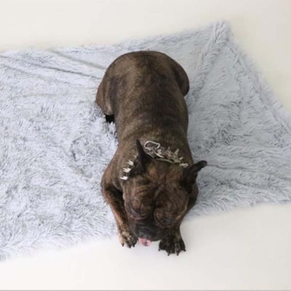 kennels & pens plush pet mat double-layer blanket golden retriever large and medium-sized dog mats cat blankets warm comfortable
kennels & pens plush pet mat double-layer blanket golden retriever large and medium-sized dog mats cat blankets warm comfortable