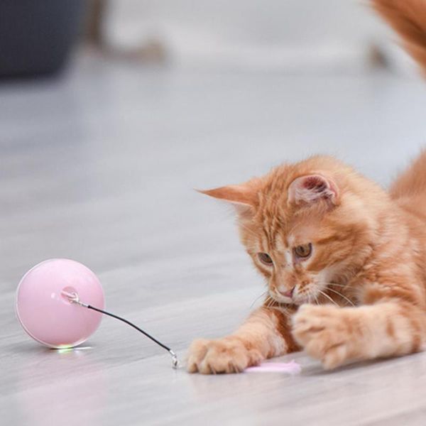 cat toys toy interactive 360 degree self rotating ball led rolling flash pet playing usb rechargable pets fo u6w8
cat toys toy interactive 360 degree self rotating ball led rolling flash pet playing usb rechargable pets fo u6w8