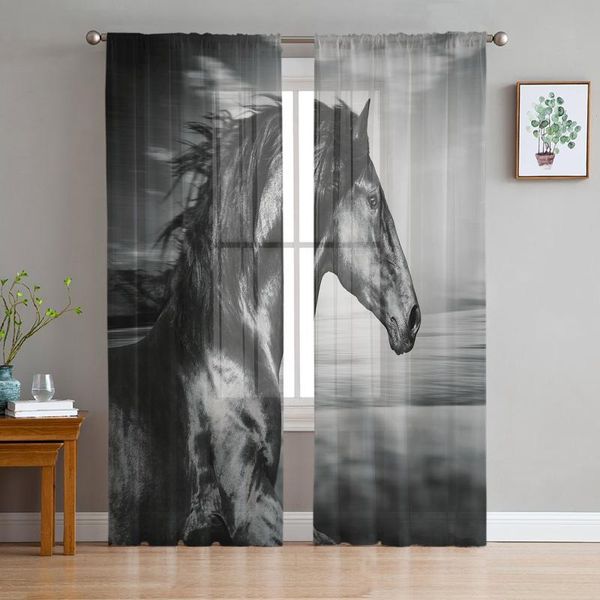 curtain & drapes animal black horse clouds modern tulle curtains for living room bedroom home kitchen window sheer
curtain & drapes animal black horse clouds modern tulle curtains for living room bedroom home kitchen window sheer