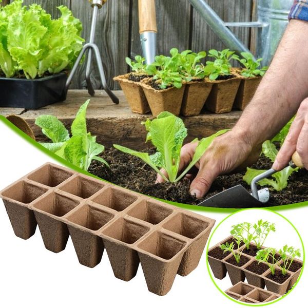 cells seed starter tray biodegradable peat pots seedling germination trays organic plant kit planting pot40 planters &
cells seed starter tray biodegradable peat pots seedling germination trays organic plant kit planting pot40 planters &