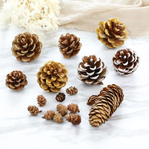 decorative flowers & wreaths 10pcs natural pine cones po props christmas decoration tree ers pinecone year diy party vase displays decor
decorative flowers & wreaths 10pcs natural pine cones po props christmas decoration tree ers pinecone year diy party vase displays decor