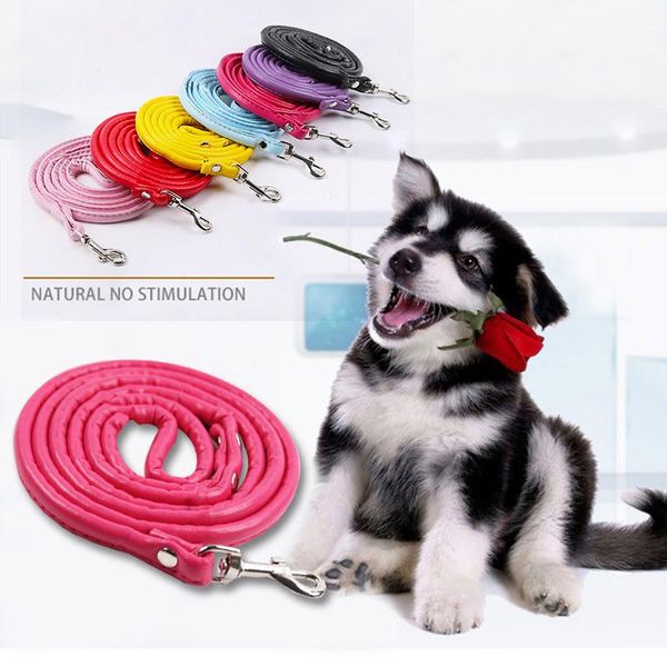dog collars & leashes 120cm pet training leather supplies walking harness cat accessories going out traction rope puppy running
dog collars & leashes 120cm pet training leather supplies walking harness cat accessories going out traction rope puppy running