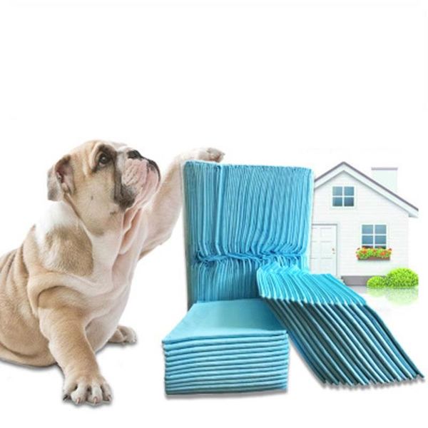 100pcs/set pet housebreaking pad for pee training pads underpads keep healthy clean wet mat dog puppy diapers 33 x 45cm kennels & pens
100pcs/set pet housebreaking pad for pee training pads underpads keep healthy clean wet mat dog puppy diapers 33 x 45cm kennels & pens