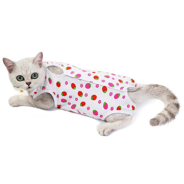 dog apparel soft cotton puppy diapers female pet physiological pants underwear cat diaper girl sanitary panties clothes shorts
dog apparel soft cotton puppy diapers female pet physiological pants underwear cat diaper girl sanitary panties clothes shorts