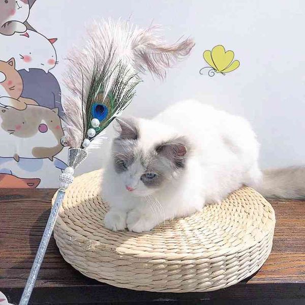 cat new stick ostrich + peacock feather cat toys interactive pet products with bell 
cat new stick ostrich + peacock feather cat toys interactive pet products with bell