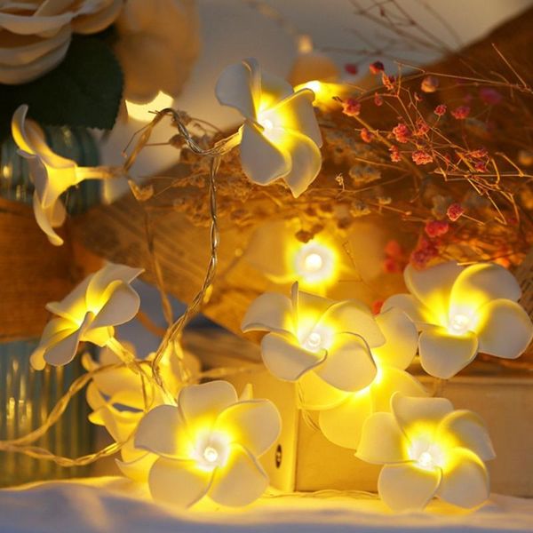 strings frangipani light string led flower fairy garden garland kids bedroom christmas wedding hoilday party outdoor decoration lighting
strings frangipani light string led flower fairy garden garland kids bedroom christmas wedding hoilday party outdoor decoration lighting