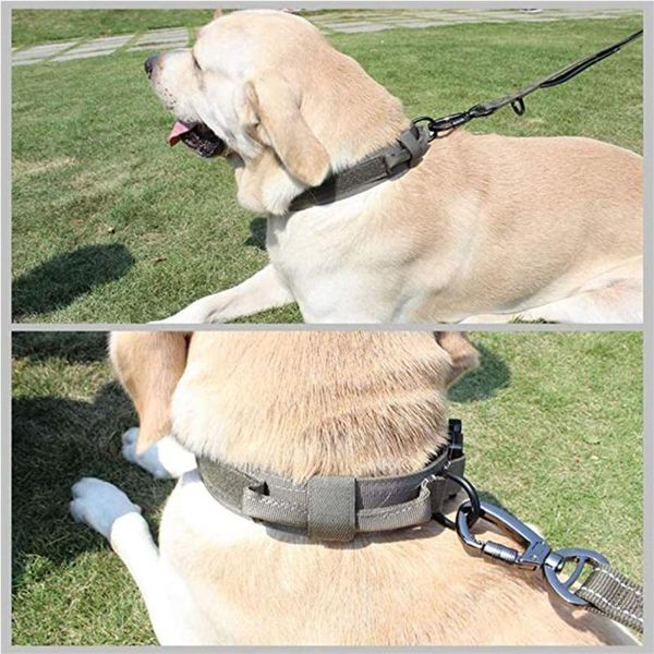dog collars & leashes military tactical collar german shepard medium large for walking training duarable control handle
dog collars & leashes military tactical collar german shepard medium large for walking training duarable control handle
