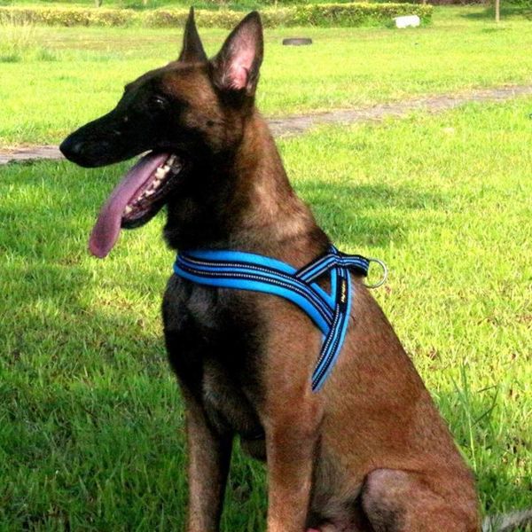 large pet dog harness donated leash reflective prevent violent charge collars & leashes
large pet dog harness donated leash reflective prevent violent charge collars & leashes