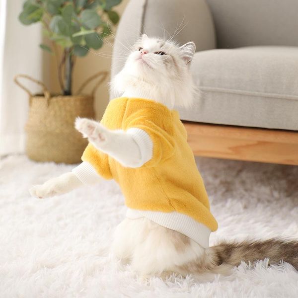 clothes for cat pullover winter autumn costume a pet clothing cats warm hoodies coats jacket outfit dogs small puppy kitten dog costumes
clothes for cat pullover winter autumn costume a pet clothing cats warm hoodies coats jacket outfit dogs small puppy kitten dog costumes
