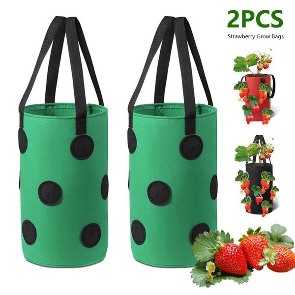 planters & pots 2pcs 3 gallons strawberry grow bags for plants garden bag vertical flower pouch reusable pot planter
planters & pots 2pcs 3 gallons strawberry grow bags for plants garden bag vertical flower pouch reusable pot planter
