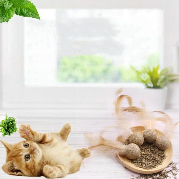 cat toys 1pc catnip soft feather toy for playing funny ball treats interactive kitten products gato katten speelgoed
cat toys 1pc catnip soft feather toy for playing funny ball treats interactive kitten products gato katten speelgoed