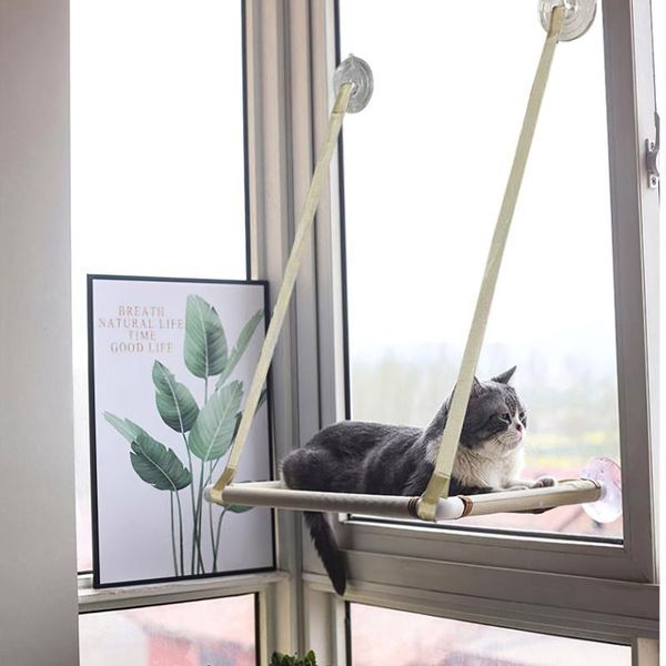 cat beds & furniture window sunny hammock comfortable hanging crucible perch play sleep bed with suction cup
cat beds & furniture window sunny hammock comfortable hanging crucible perch play sleep bed with suction cup