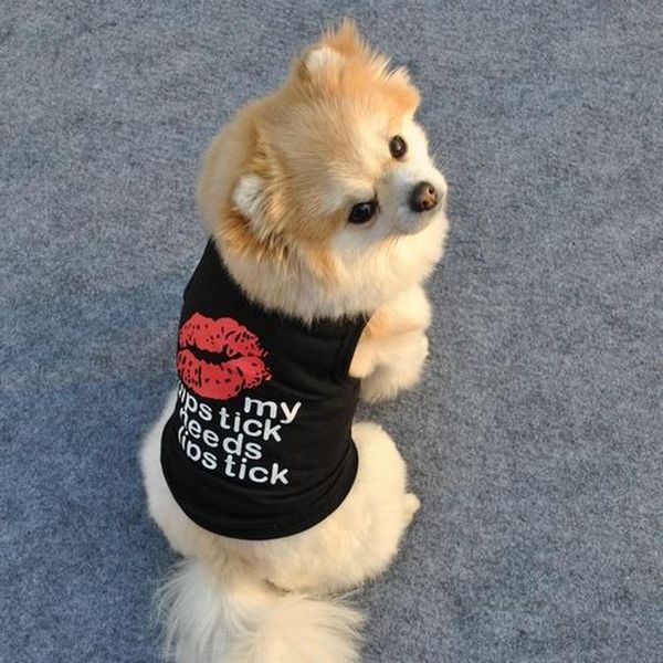 dog apparel spring summer leisure styles pet clothing comfortable breathable fashion cute lip print vest teddy bichon small
dog apparel spring summer leisure styles pet clothing comfortable breathable fashion cute lip print vest teddy bichon small