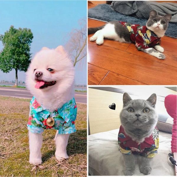 dog apparel summer pet cat clothes for cats colorful hawaii style costume, cool breathable chiffon travel printed blouse dogs
dog apparel summer pet cat clothes for cats colorful hawaii style costume, cool breathable chiffon travel printed blouse dogs