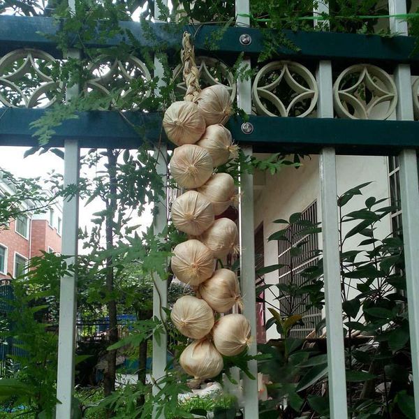 decorative flowers & wreaths 5pcs artificial garlic strings home kitchen garden hanging stand display decor simulation vegetables
decorative flowers & wreaths 5pcs artificial garlic strings home kitchen garden hanging stand display decor simulation vegetables