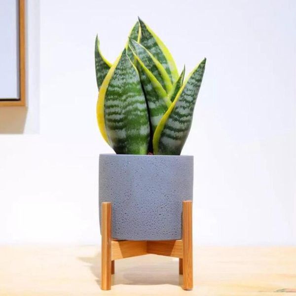 retractable indoor plant flower pot planter stand assembly wood holder wooden floor potted rack for home office decor gray bathroom shelves
retractable indoor plant flower pot planter stand assembly wood holder wooden floor potted rack for home office decor gray bathroom shelves