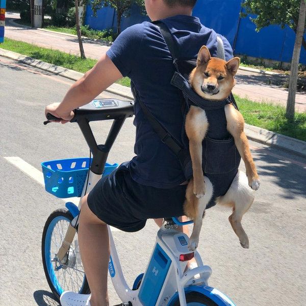 dog car seat covers pet bag out portable large medium and backpack keji chai bagofadou chest
dog car seat covers pet bag out portable large medium and backpack keji chai bagofadou chest