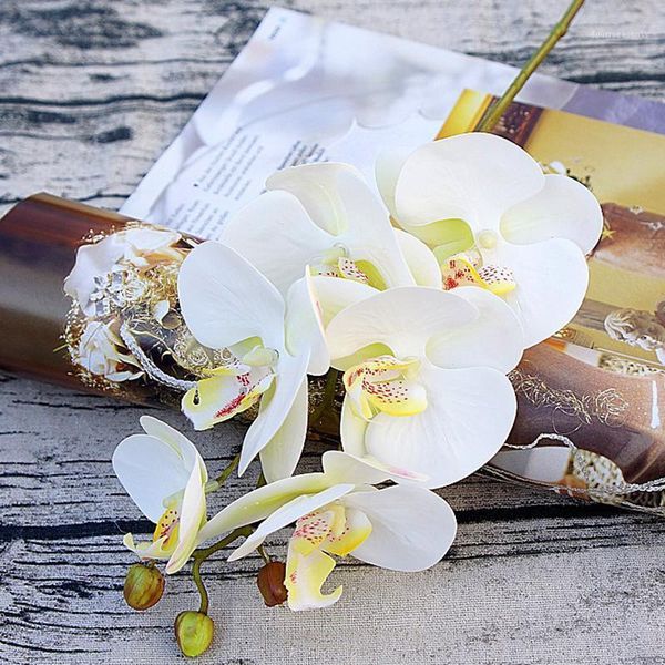 decorative flowers & wreaths artificial plants butterfly orchid simulation 3d phalaenopsis for home wedding diy decoration real touch festiv
decorative flowers & wreaths artificial plants butterfly orchid simulation 3d phalaenopsis for home wedding diy decoration real touch festiv