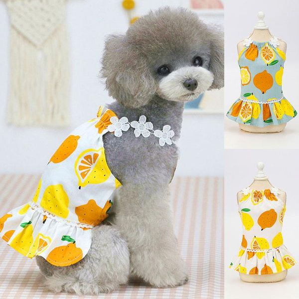 summer pet dogs skirt clothing vest dress lively sling soft two-legged print clothes cute costume dog apparel
summer pet dogs skirt clothing vest dress lively sling soft two-legged print clothes cute costume dog apparel