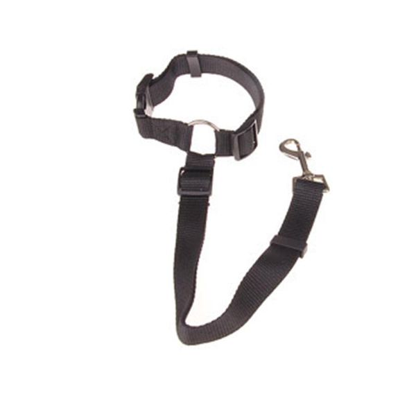 dog collars & leashes cat pet safety adjustable car seat belt harness leash travel clip strap lead
dog collars & leashes cat pet safety adjustable car seat belt harness leash travel clip strap lead