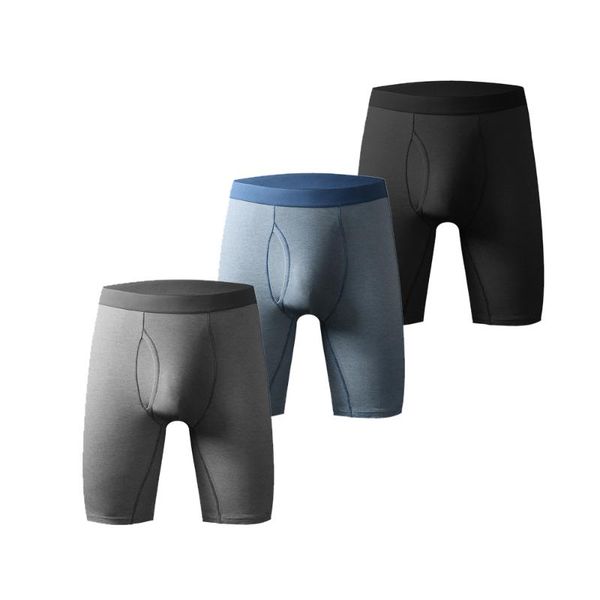 underpants men's boxer shorts cotton long leg gym underwear 2021 fashion male breathable running opening pouch boxershorts, Black;white
underpants men's boxer shorts cotton long leg gym underwear 2021 fashion male breathable running opening pouch boxershorts, Black;white