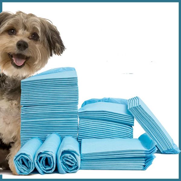 dog apparel pet diapers for dogs training pad puppy pads disposable leakproof super absorption cleaning supplies
dog apparel pet diapers for dogs training pad puppy pads disposable leakproof super absorption cleaning supplies