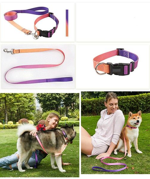 dog collars & leashes luxury leash of ins colourful 1.5m nylon collar set cute fashion neon small medium large big tactical
dog collars & leashes luxury leash of ins colourful 1.5m nylon collar set cute fashion neon small medium large big tactical