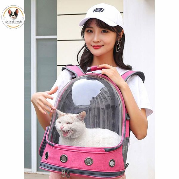 outdoor pet bag cat and dogs go out convenient backpack transparent space super breathable 360° sightseeing carriers,crates & houses
outdoor pet bag cat and dogs go out convenient backpack transparent space super breathable 360° sightseeing carriers,crates & houses