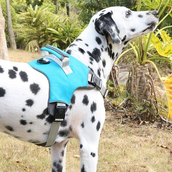 dog collars & leashes pet chest strap adjustable reflective nylon material sponge filled soft and comfortable outing supplies
dog collars & leashes pet chest strap adjustable reflective nylon material sponge filled soft and comfortable outing supplies