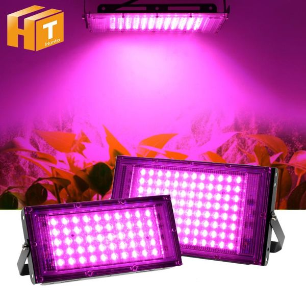 grow light 50w 100w full spectrum phyto growing lamp greenhouse hydroponic plant growth lighting. lights
grow light 50w 100w full spectrum phyto growing lamp greenhouse hydroponic plant growth lighting. lights