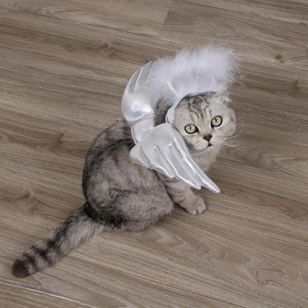sweet white angel costume cosplay wings cap set for pet dog cat wear costumes
sweet white angel costume cosplay wings cap set for pet dog cat wear costumes