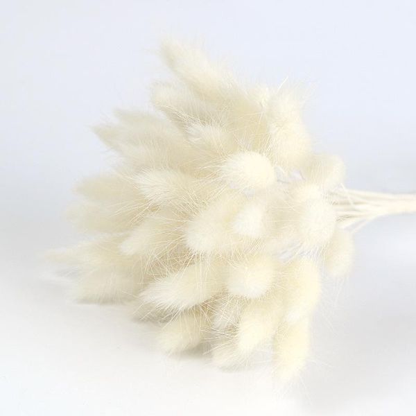 dried natural plant flower colorful lagurus ovatus bouquets&uraria picta& tail grass bunches home wedding party decoration decorative flower
dried natural plant flower colorful lagurus ovatus bouquets&uraria picta& tail grass bunches home wedding party decoration decorative flower