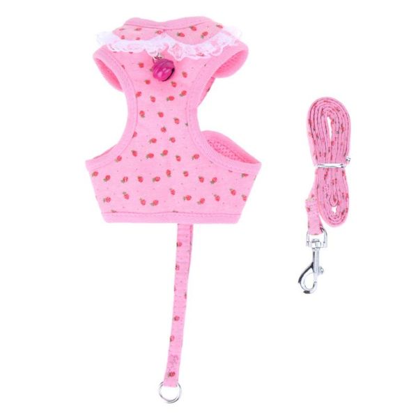 pet dog leash vest-style chest back rope cat strawberry suit fashion breathable outdoor walking collar 2021 collars & leashes
pet dog leash vest-style chest back rope cat strawberry suit fashion breathable outdoor walking collar 2021 collars & leashes