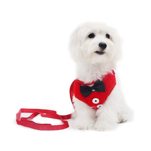 adjustable breathable vest collars chain puppy cat pet dog leash set lead chest clothes strap & leashes
adjustable breathable vest collars chain puppy cat pet dog leash set lead chest clothes strap & leashes