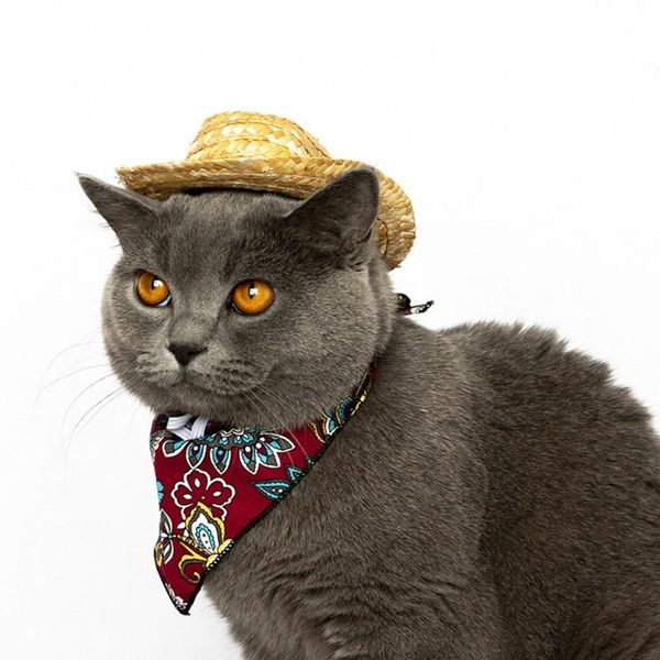 cat costumes fashion pet woven straw hat adjustable sun sombrero for small dogs and cats beach party costume cute accessories
cat costumes fashion pet woven straw hat adjustable sun sombrero for small dogs and cats beach party costume cute accessories