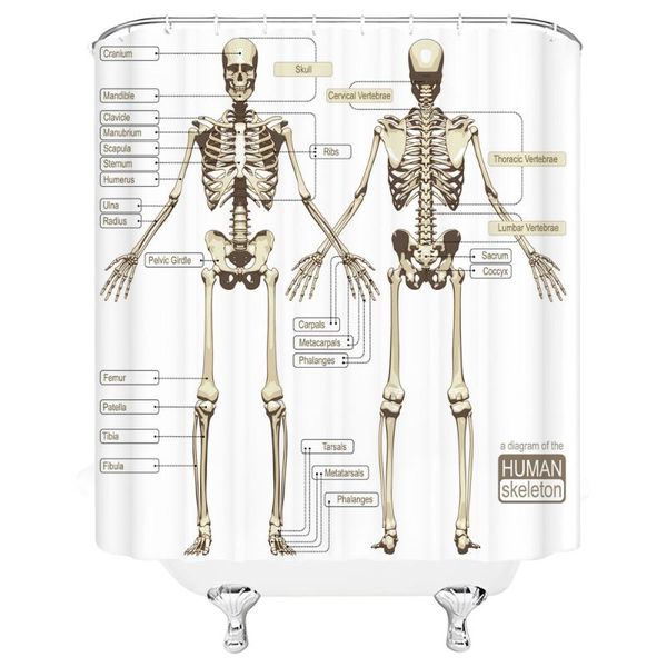 human body structure chart pattern bath shower curtain waterproof decoration curtains with hooks bathroom screen
human body structure chart pattern bath shower curtain waterproof decoration curtains with hooks bathroom screen