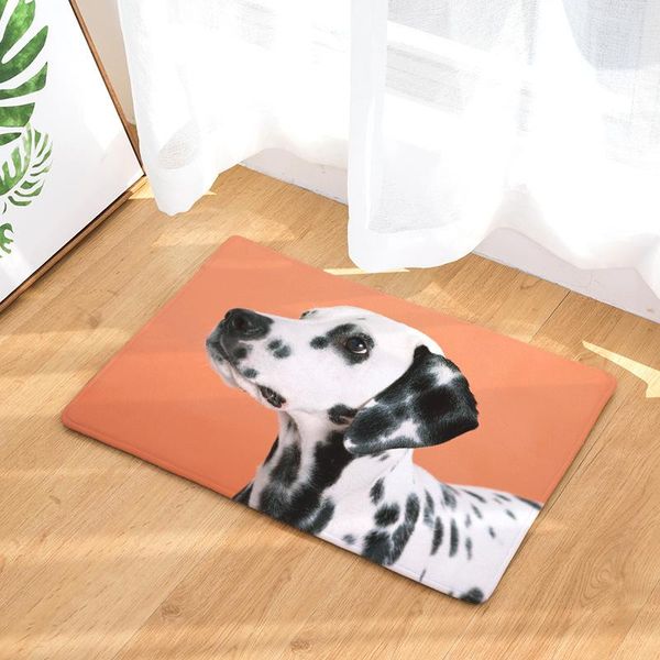 carpets cammitever golden retriever spotted dog labrador pattern comfort rugs perfect for kitchens and standing desks kitchen mat
carpets cammitever golden retriever spotted dog labrador pattern comfort rugs perfect for kitchens and standing desks kitchen mat