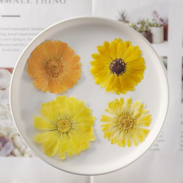 calendula sample glue dripping dry flower diy manual soap material plant teaching natural real festival gift design
calendula sample glue dripping dry flower diy manual soap material plant teaching natural real festival gift design