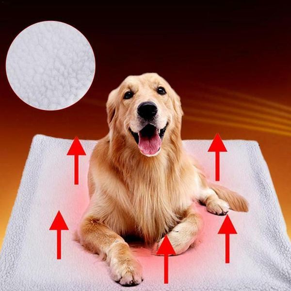cat beds & furniture pet self-heating mat dog soft hand wash rest blanket winter warming cushion bed no plug breathable sleep house for
cat beds & furniture pet self-heating mat dog soft hand wash rest blanket winter warming cushion bed no plug breathable sleep house for