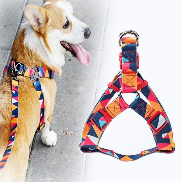 dog collars & leashes ruffwear harness no pull nylon pet vest breathable adjustable medium large training running lead
dog collars & leashes ruffwear harness no pull nylon pet vest breathable adjustable medium large training running lead