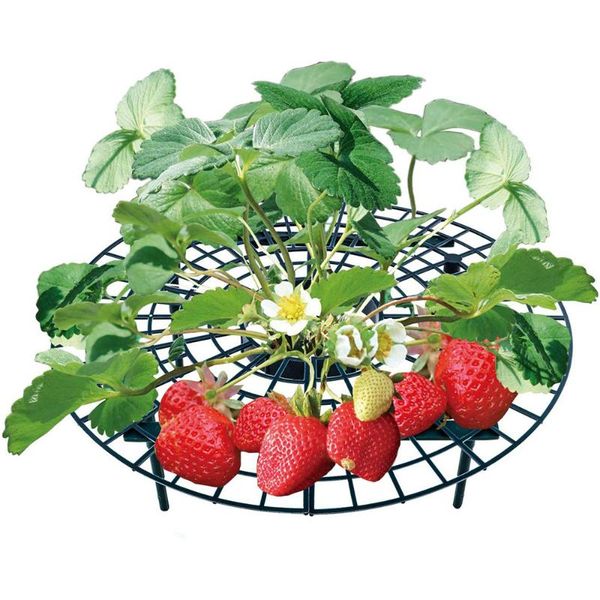 other garden supplies 5/10/15/20 pcs strawberry stand frame holder balcony planting fruit support plant rack flower climbing vine pillar gar
other garden supplies 5/10/15/20 pcs strawberry stand frame holder balcony planting fruit support plant rack flower climbing vine pillar gar