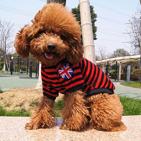 dog apparel stripe pet clothes summer puppy cat vest for small dogs cats chihuahua yorkshire poodle shirts tshirt pets clothing
dog apparel stripe pet clothes summer puppy cat vest for small dogs cats chihuahua yorkshire poodle shirts tshirt pets clothing