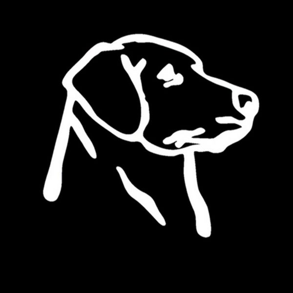 labrador dog vinyl sticker decal duck hunting hunt hunter puppy lab truck car window bumper
labrador dog vinyl sticker decal duck hunting hunt hunter puppy lab truck car window bumper