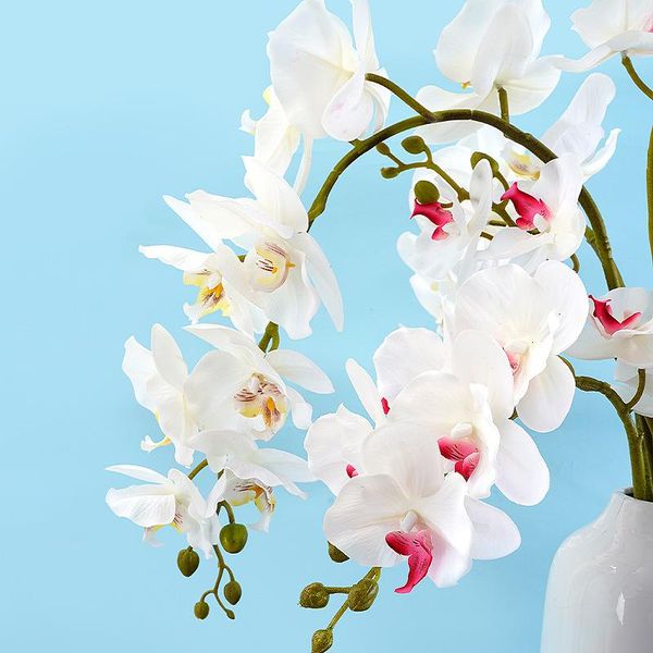 decorative flowers & wreaths 2pcs 3d printing 9 heads phalaenopsis hand-feeling orchids latex artificial wedding home decoration flower arra
decorative flowers & wreaths 2pcs 3d printing 9 heads phalaenopsis hand-feeling orchids latex artificial wedding home decoration flower arra