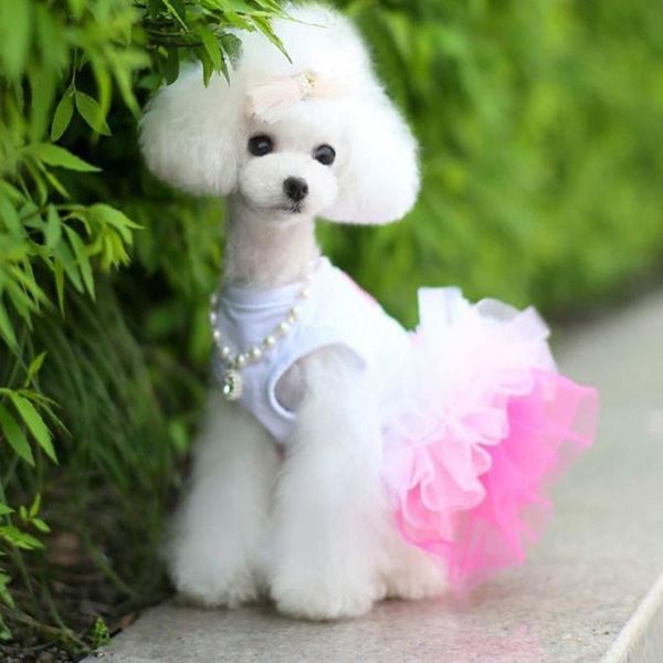 dog apparel clothes small dogs dress sweety princess spring summer puppy lace chihuahua mascotas roupa
dog apparel clothes small dogs dress sweety princess spring summer puppy lace chihuahua mascotas roupa