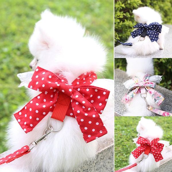 dog collars & leashes adjustable lace bow pet chest strap cat leash rope set small collar back supplies
dog collars & leashes adjustable lace bow pet chest strap cat leash rope set small collar back supplies
