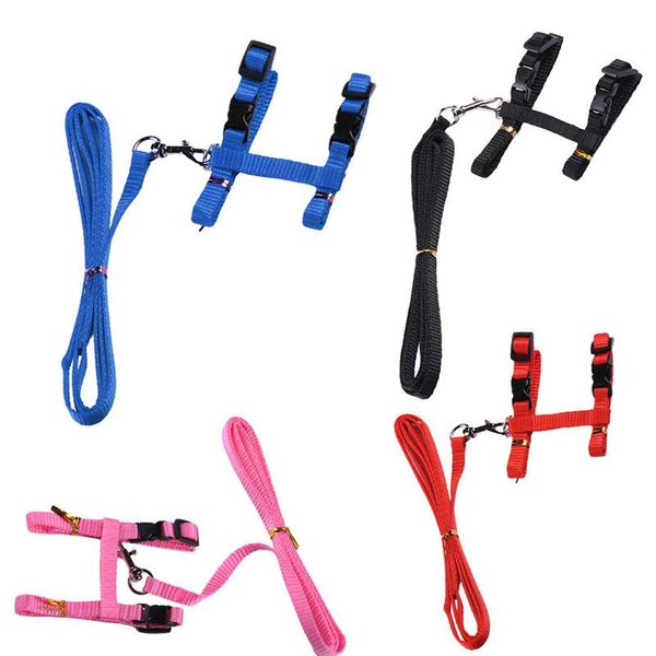 nylon pet cat harness no pull adjustable leash vest classic running strap belt for small and medium collars & leads
nylon pet cat harness no pull adjustable leash vest classic running strap belt for small and medium collars & leads