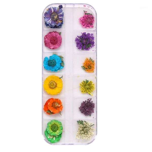 drop fashion real dried flowers 3d nail art decor design diy tips manicure 12 colors smj1, Silver;gold
drop fashion real dried flowers 3d nail art decor design diy tips manicure 12 colors smj1, Silver;gold