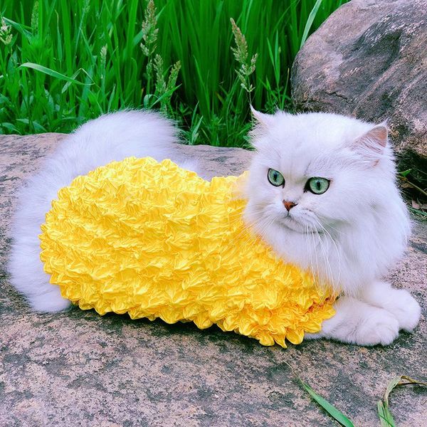 dog apparel pet cat clothes summer coat colorful magic shirts costume thin for small dogs chihuahua cool puppy
dog apparel pet cat clothes summer coat colorful magic shirts costume thin for small dogs chihuahua cool puppy